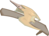 Pterodactylus On A Branch Clip Art